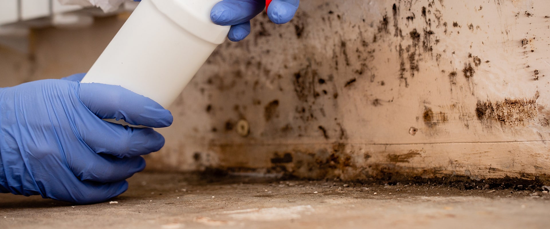 How to Effectively Disinfect Surfaces to Prevent Future Mold Growth