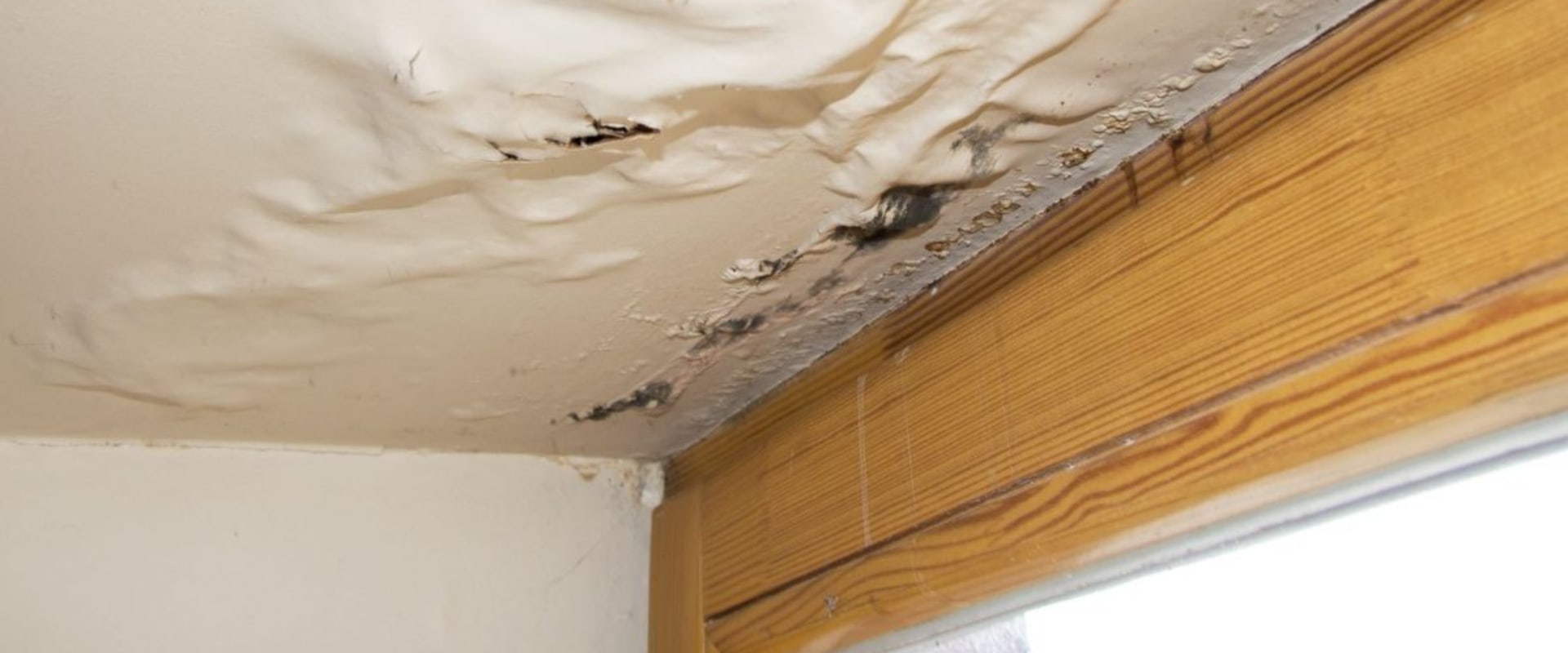 How to Assess and Repair Water Damage to Walls, Floors, and Ceilings