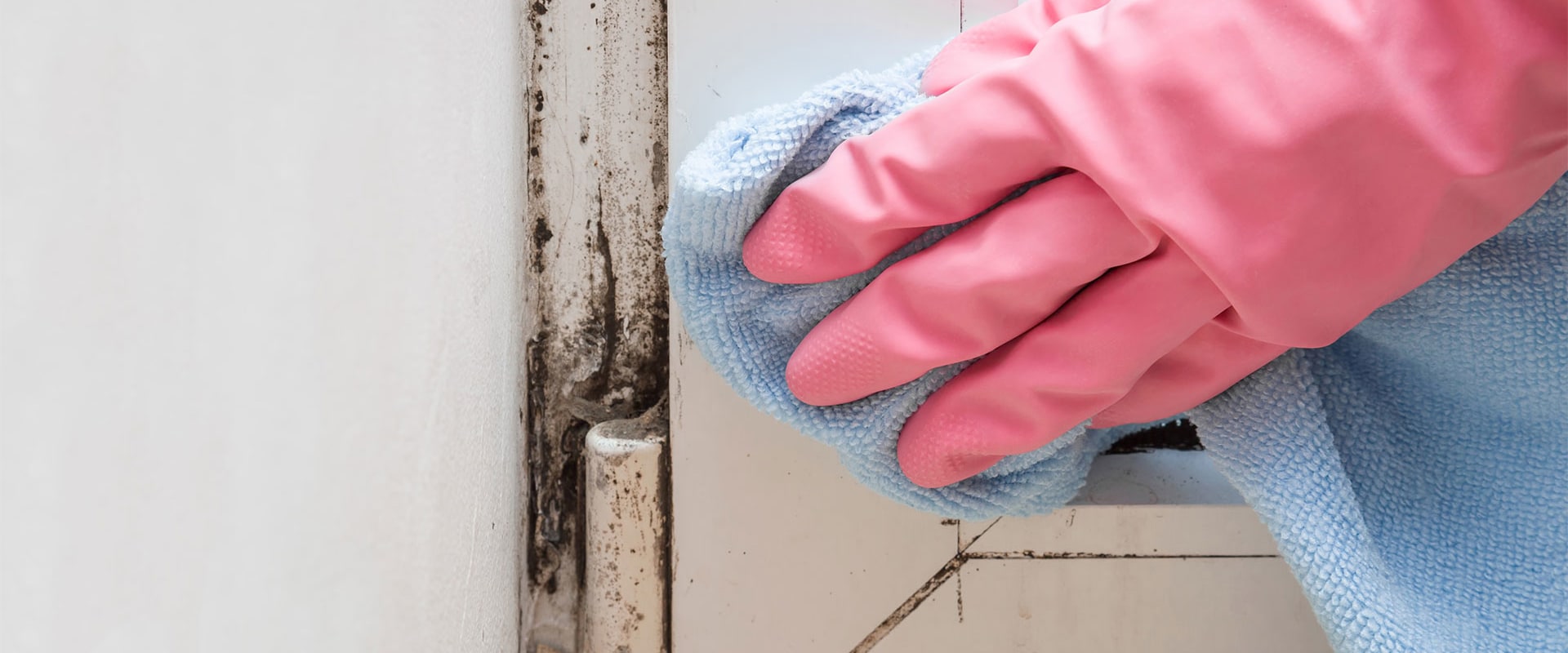 Removing Mold: The Ultimate Guide to Safe and Effective Mold Remediation