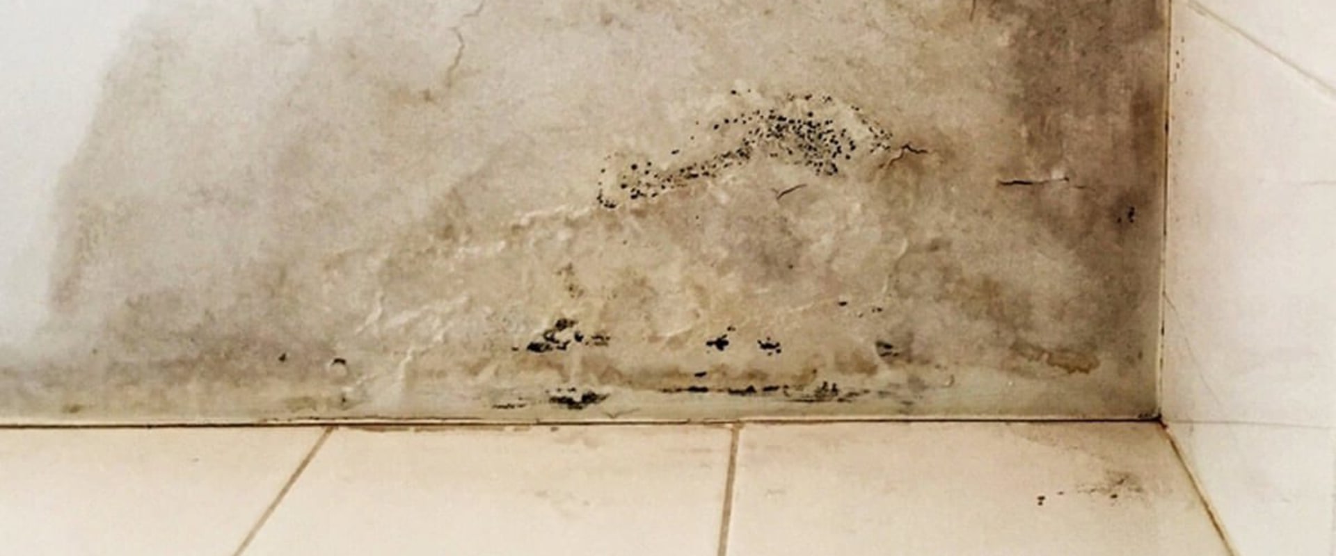 How to Minimize Costs and Time for Water Damage Repairs