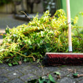 How to Clean Up After a Storm to Prevent Further Damage