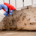 How to Effectively Disinfect Surfaces to Prevent Future Mold Growth