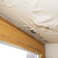 How to Assess and Repair Water Damage to Walls, Floors, and Ceilings