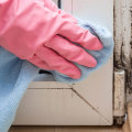 Removing Mold: The Ultimate Guide to Safe and Effective Mold Remediation