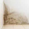 Preventing and Fixing Leaks and Humidity Issues: Tips and Techniques for Water Mitigation