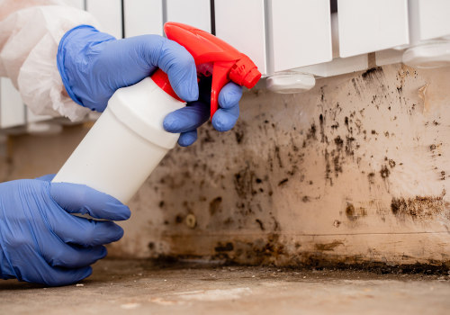 How to Effectively Disinfect Surfaces to Prevent Future Mold Growth