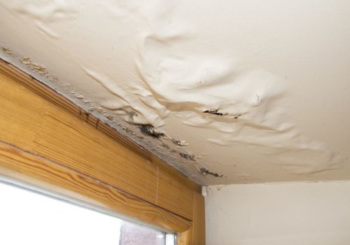 How to Assess and Repair Water Damage to Walls, Floors, and Ceilings