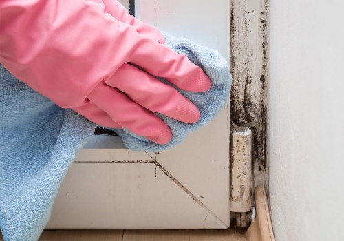 Removing Mold: The Ultimate Guide to Safe and Effective Mold Remediation