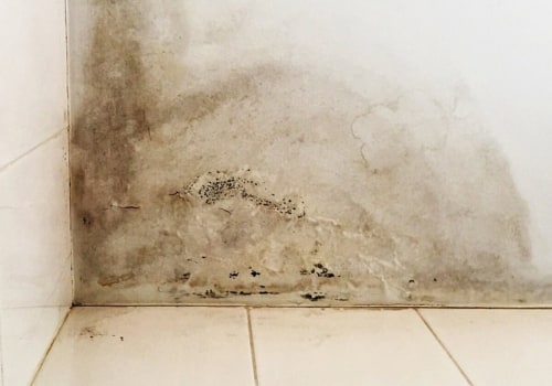 How to Minimize Costs and Time for Water Damage Repairs